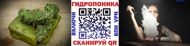 Canna-Cookies марихуана Купить закладки Лянтор