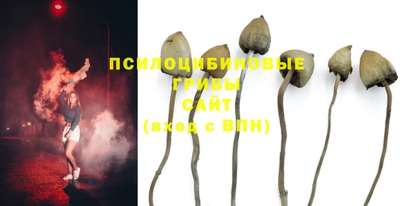 прущая мука Зеленодольск