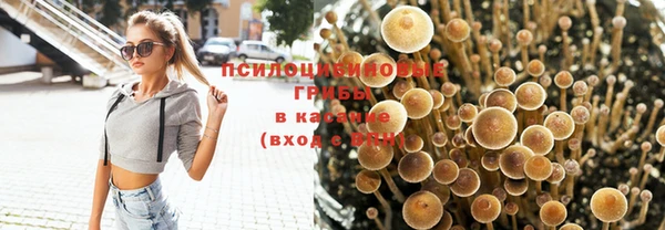 экстази Зерноград