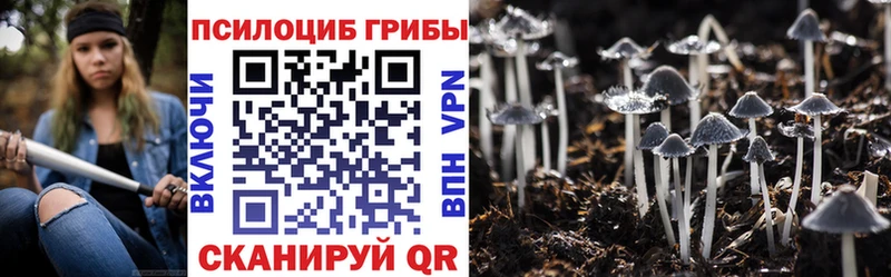 Купить закладки  Лянтор  Псилоцибиновые грибы GOLDEN TEACHER 